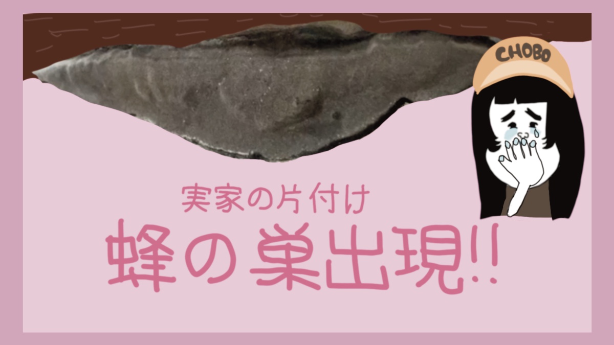 実科の片付け蜂の巣出現！！